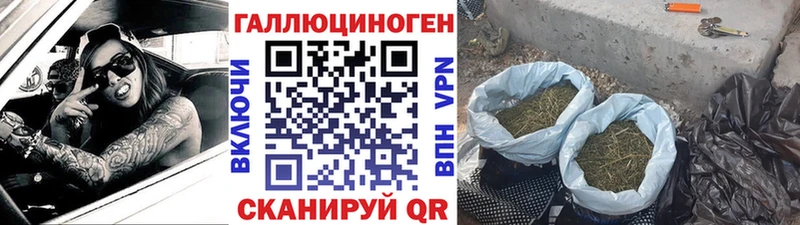 Галлюциногенные грибы прущие грибы  Анжеро-Судженск 